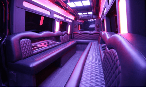 Altoona 14 Passenger Sprinter Bus Interior