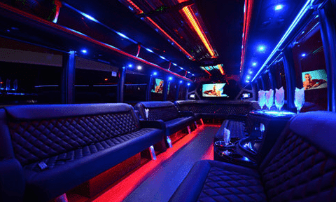 Altoona 30 Passenger Party Bus Black Interior