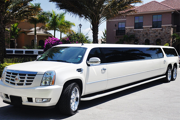 Pittsburgh 20 Passenger Limo